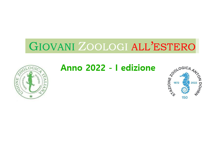 Premio Giovani Zoologi all'Estero