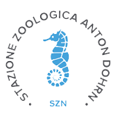logo SZAN