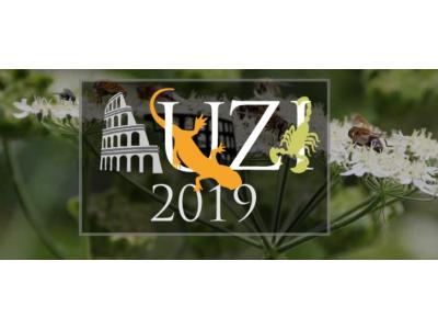 2° Circolare 80° Congresso UZI 2019