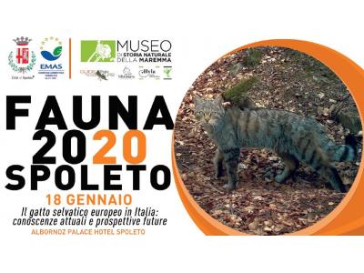 Convegno: Il Gatto selvatico europeo in Italia: conoscenze attuali e prospettive future