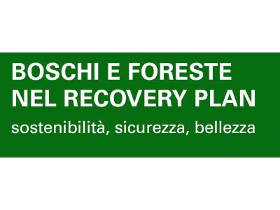 Boschi e Foreste nel Recovery Plan - Sostenibilità, Sicurezza, Bellezza