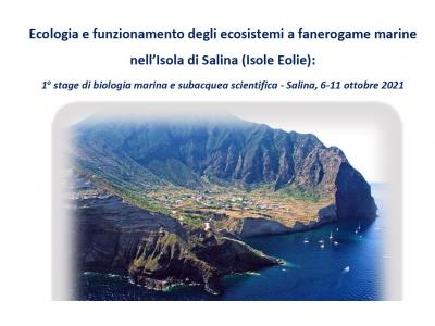 1 Stage: Ecologia e funzionamento degli ecosistemi a fanerogame marine nell’Isola di Salina (Isole Eolie)