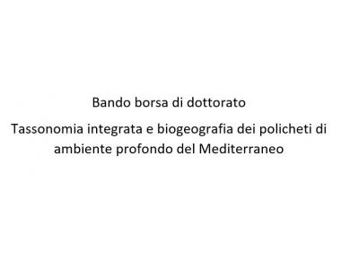 Borsa di dottorato: Tassonomia integrata e biogeografia dei policheti di ambiente profondo del Mediterraneo