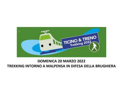 Trekking intorno a Malpensa in difesa della Brughiera