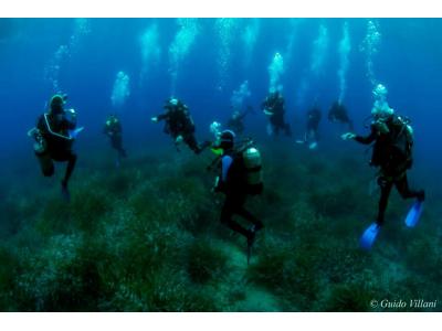 Corso teorico-pratico di Biologia Marina 2022