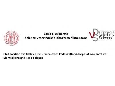 PhD position available at the University of Padova (Italy), Dept. of Comparative Biomedicine and Food Science