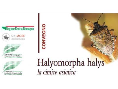 Convegno sulla cimice di origine asiatica Halyomorpha halys