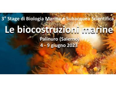 3 stage di biologia marina: Le biocostruzioni marine