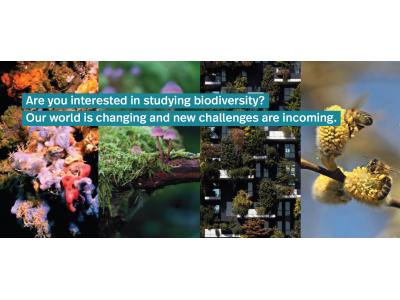 Bando dottorato nazionale Biodiversity