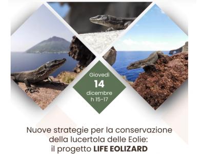 Webinar: Nuove strategie per la conservazione della lucertola delle Eolie: il progetto LIFE EOLIZARD