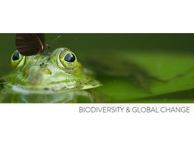Posizioni di ricerca junior o postdoc: lab Biodiversity & Global Change della Sapienza