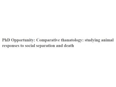 PhD Opportunity: Comparative thanatology: studying animal responses to social separation and death