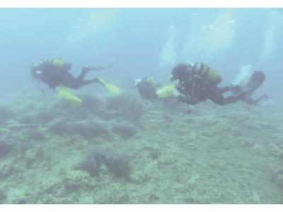 3 Scientific Diving Summer School