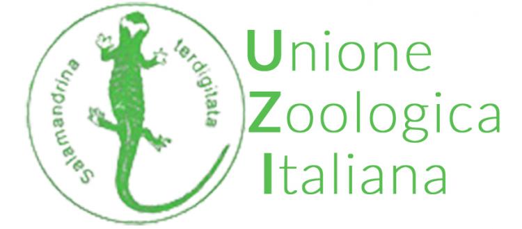 Elezioni UZI 2019