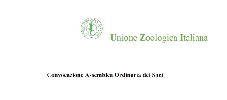 Assemblea telematica dei Soci rinnovo della carica di Direttore delle Pubblicazioni (quadriennio 2021-2024)