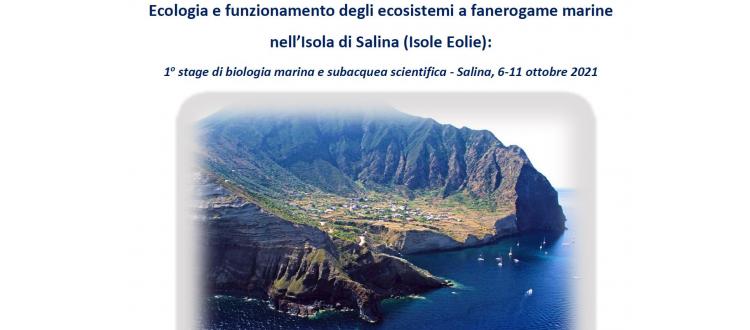 1 Stage: Ecologia e funzionamento degli ecosistemi a fanerogame marine nell’Isola di Salina (Isole Eolie)