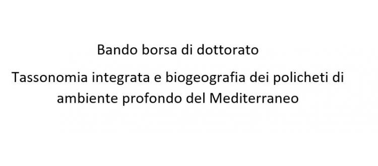 Borsa di dottorato: Tassonomia integrata e biogeografia dei policheti di ambiente profondo del Mediterraneo