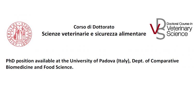 PhD position available at the University of Padova (Italy), Dept. of Comparative Biomedicine and Food Science