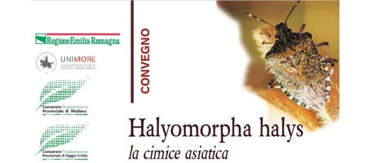 Convegno sulla cimice di origine asiatica Halyomorpha halys
