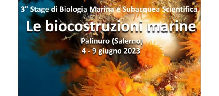 3 stage di biologia marina: Le biocostruzioni marine