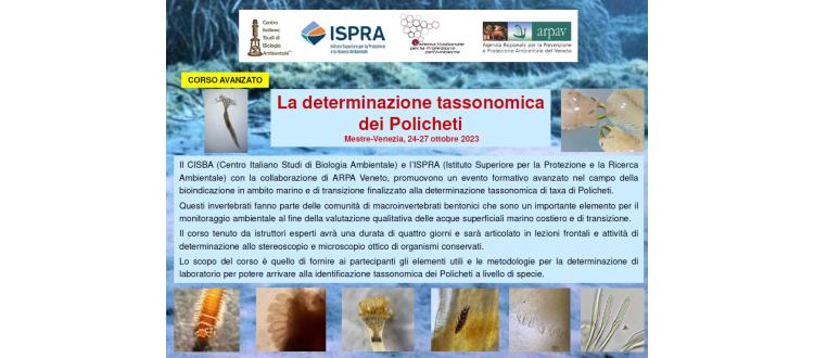 La determinazione tassonomica dei Policheti