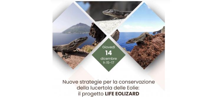 Webinar: Nuove strategie per la conservazione della lucertola delle Eolie: il progetto LIFE EOLIZARD