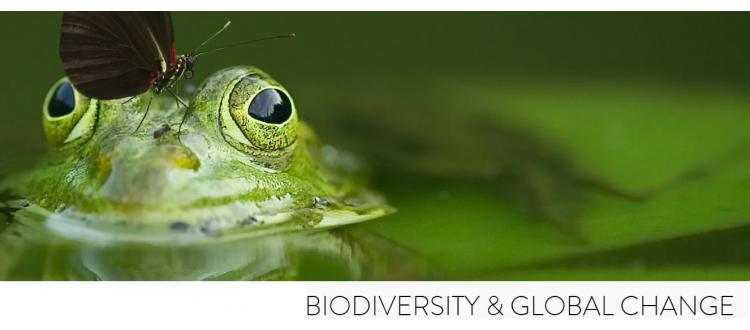 Posizioni di ricerca junior o postdoc: lab Biodiversity & Global Change della Sapienza