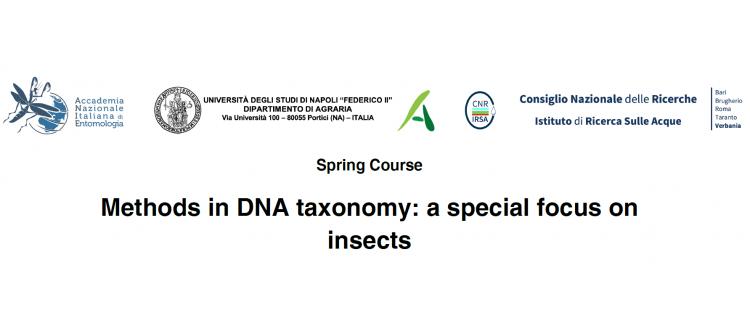 Corso studenti di dottorato - Methods in DNA taxonomy: a special focus on insects