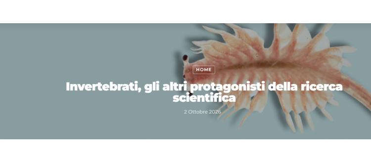 Modelli Invertebrati e Benessere Animale: la svolta etica e metodologica promossa dall'UZI