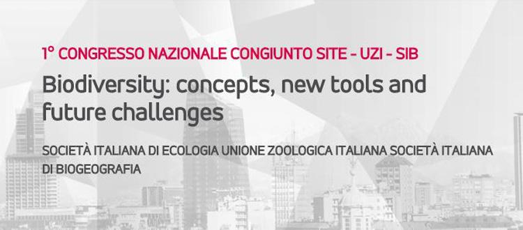 Contributi alla tavola rotonda UZI 2016: Conoscere il passato per un migliore futuro