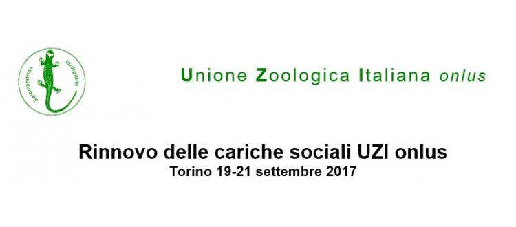 Modulo di presentazione della candidatura per rinnovo delle cariche sociali UZI onlus