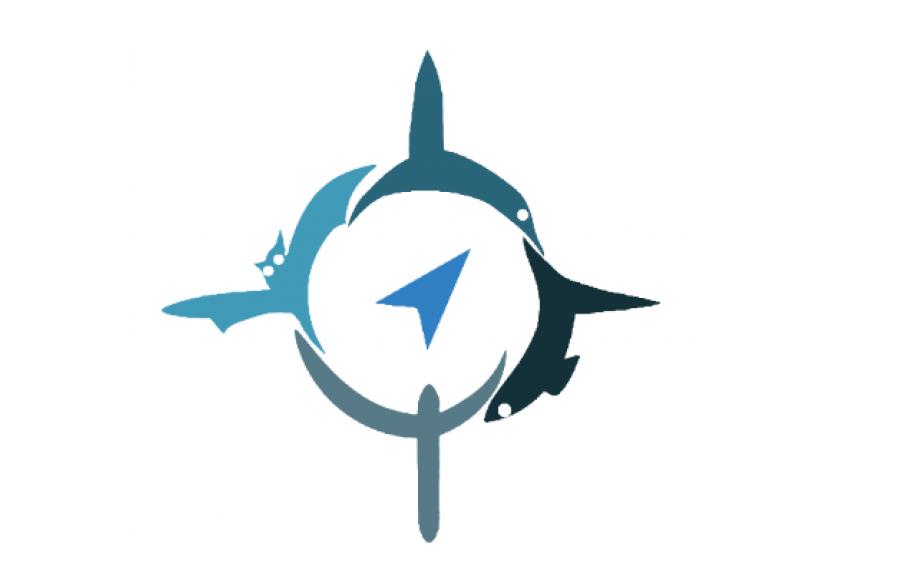 PhD-position in Neurobiology of Animal Navigation