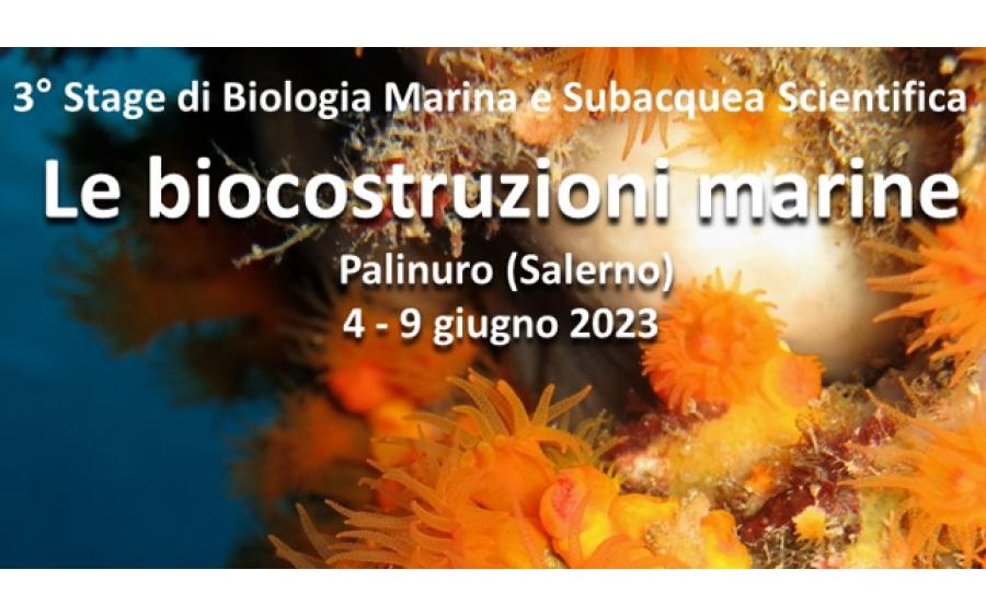 3 stage di biologia marina: Le biocostruzioni marine