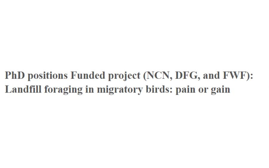 PhD positions Funded project (NCN, DFG, and FWF): Landfill foraging in migratory birds: pain or gain