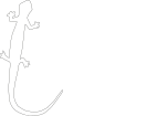 Unione Zoologica Italiana