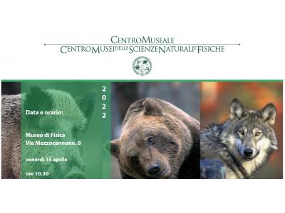 Orsi, lupi, cinghiali & Co.: Incontri ravvicinati