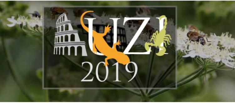 Congresso UZI 2019