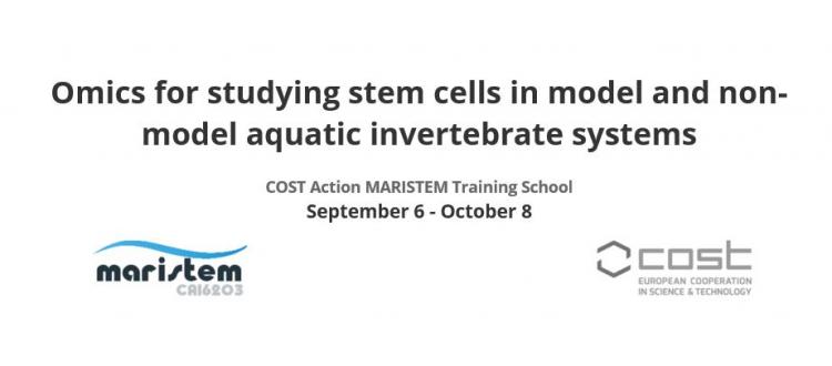 Omics for studying stem cells in model and non-model aquatic invertebrate systems