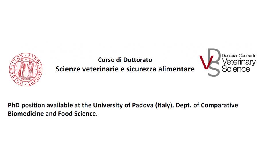 PhD position available at the University of Padova (Italy), Dept. of Comparative Biomedicine and Food Science